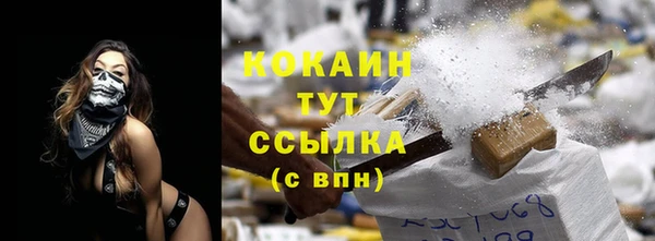 прущие грибы Ладушкин