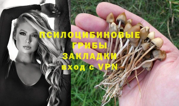 прущие грибы Ладушкин