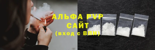 прущие грибы Ладушкин
