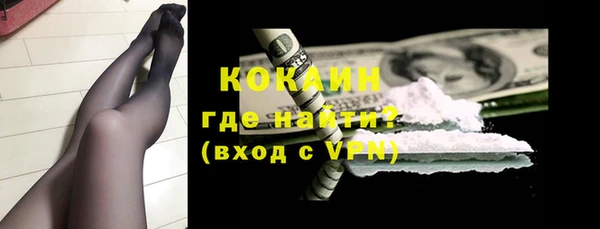 прущие грибы Ладушкин
