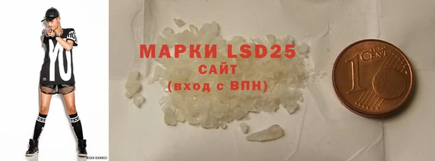 прущие грибы Ладушкин