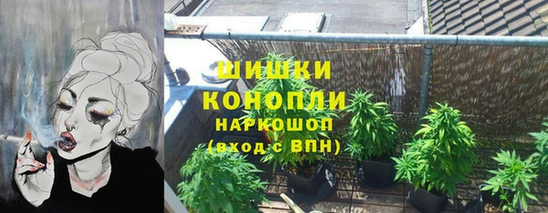 прущие грибы Ладушкин