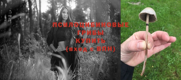 прущие грибы Ладушкин