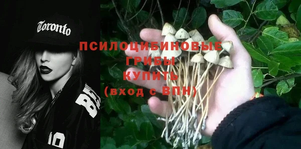 дживик Лабытнанги