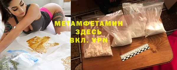 прущие грибы Ладушкин