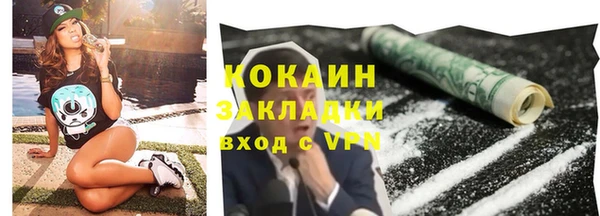 прущие грибы Ладушкин