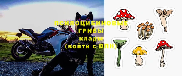 тгк Кущёвская
