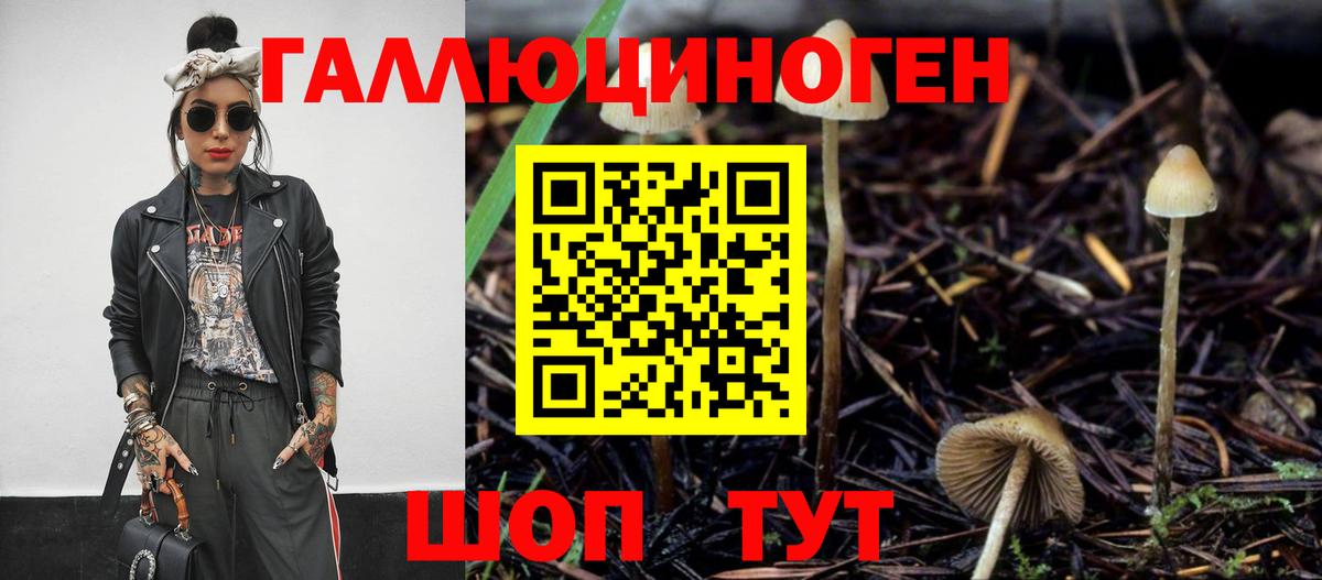 Псилоцибиновые грибы Psilocybine cubensis  Псилоцибиновые грибы прущие грибы  Нижнекамск 